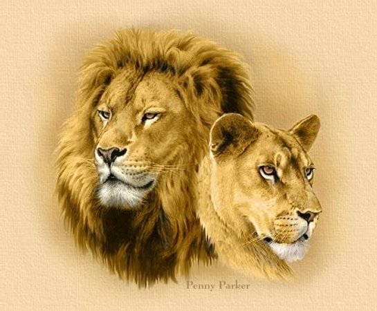 LIONS